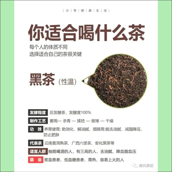 231115茶文化基本知识.cdr_0023.JPG