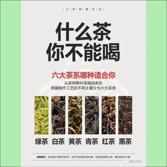 231115茶文化基本知识.cdr_0013.JPG