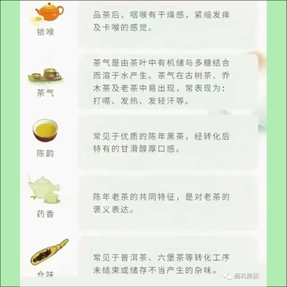 231115茶文化基本知识.cdr_0029.JPG
