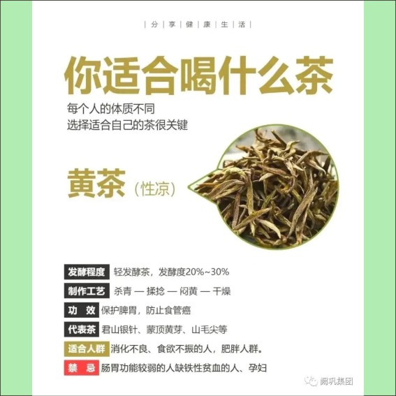 231115茶文化基本知识.cdr_0021.JPG