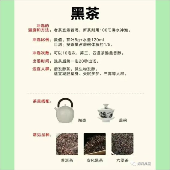 231115茶文化基本知识.cdr_0022.JPG