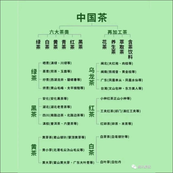 231115茶文化基本知识.cdr_0005.JPG