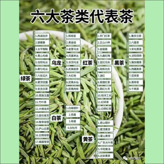 231115茶文化基本知识.cdr_0007.JPG