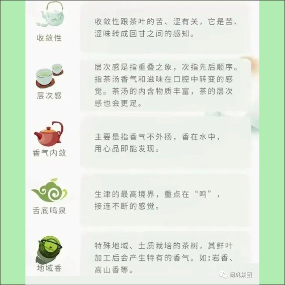 231115茶文化基本知识.cdr_0030.JPG