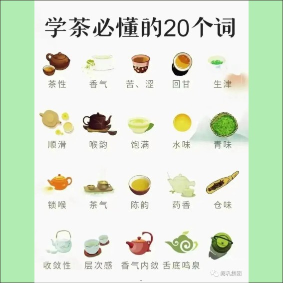 231115茶文化基本知识.cdr_0026.JPG