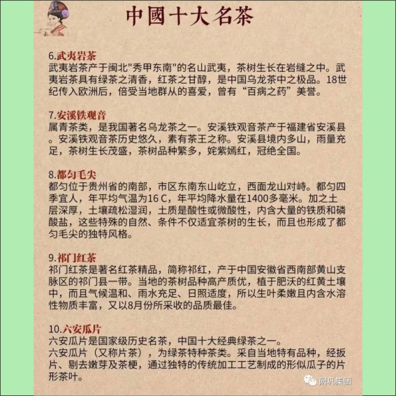 231115茶文化基本知识.cdr_0009.JPG