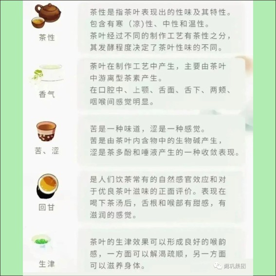 231115茶文化基本知识.cdr_0027.JPG
