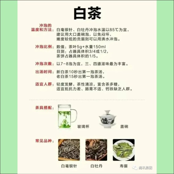 231115茶文化基本知识.cdr_0016.JPG