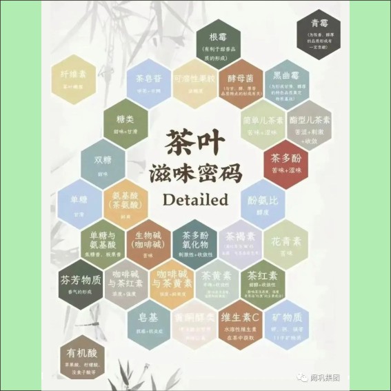 231115茶文化基本知识.cdr_0035.JPG