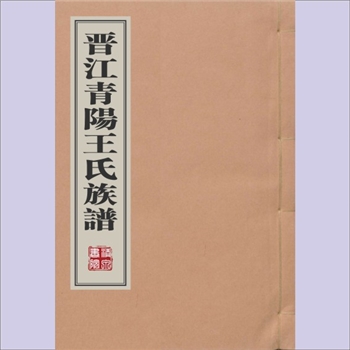 王-福建泉州-晋江市青阳王氏光绪版《晋江青阳王氏族谱》：王期璧编修，清光绪年间重修稿本，本支载