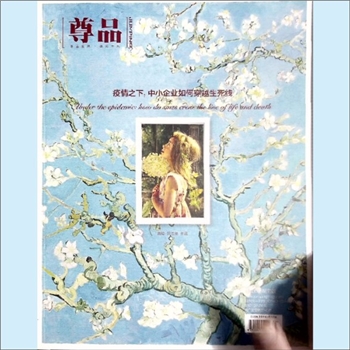 经济杂志《尊品》：2020年3月刊，头等舱商旅精英专属杂志，尊贵版、湖南版，湖南省机场管理集团有限公司主