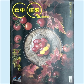 航空杂志《云中往来》：2019年2期，重庆航空航机杂志，重庆航空为中国南方航空家族成员，沈阳广天合传媒咨